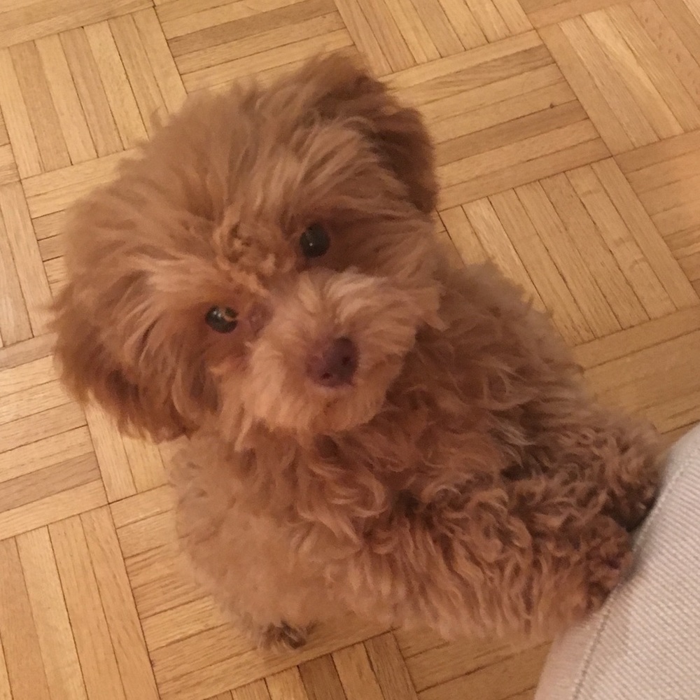 Meet your Posher, Caletha